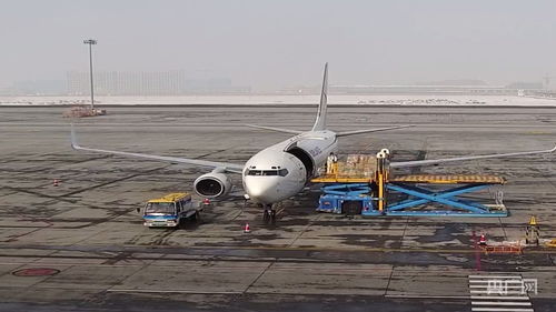 新疆國際貨運包機業(yè)務(wù)全面恢復(fù)，為國際物流注入新動能