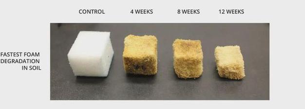 加州生物基公司新發(fā)論文植物基微塑料7個月內(nèi)可完全生物降解
