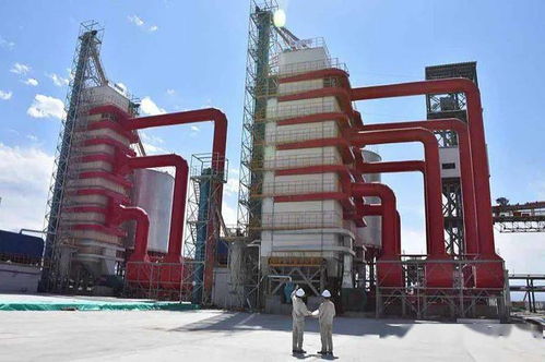 科創(chuàng)板的張江故事 六 凱賽生物 我國(guó)合成生物產(chǎn)業(yè)化第一股