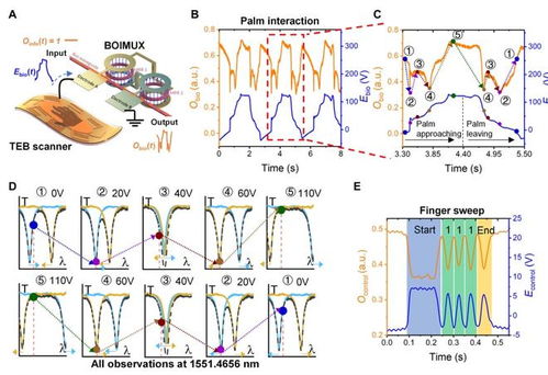 巧妙結(jié)合集成光子芯片和摩擦電技術(shù),新加坡國(guó)立大學(xué)團(tuán)隊(duì)研發(fā)高速通信基礎(chǔ)設(shè)施的生物識(shí)別保護(hù)技術(shù)