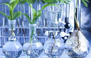 無處不在的化學 生物基材料技術研發(fā)的機遇與挑戰(zhàn)