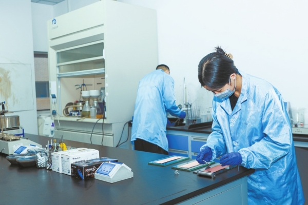 產業(yè)倍增 乘勢躍升——新能源產業(yè)鏈上新質生產力觀察 湖南領跑'儲能'賽道與生物基材料技術研發(fā)