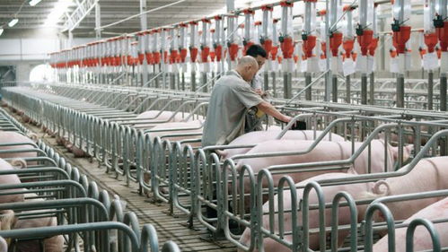 數字經濟與生物基材料創(chuàng)新 2024年上半年經濟實力躍升的雙引擎