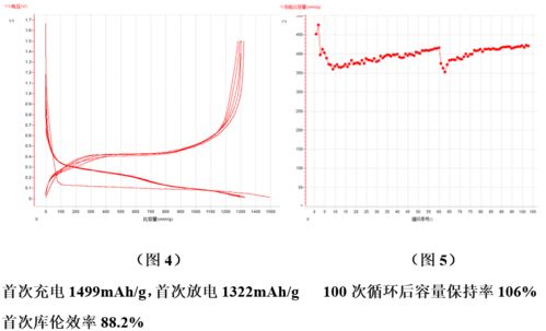 技術前沿│全球硅基負極材料專利數量已逾萬件，探尋生物硅負極材料的秘密